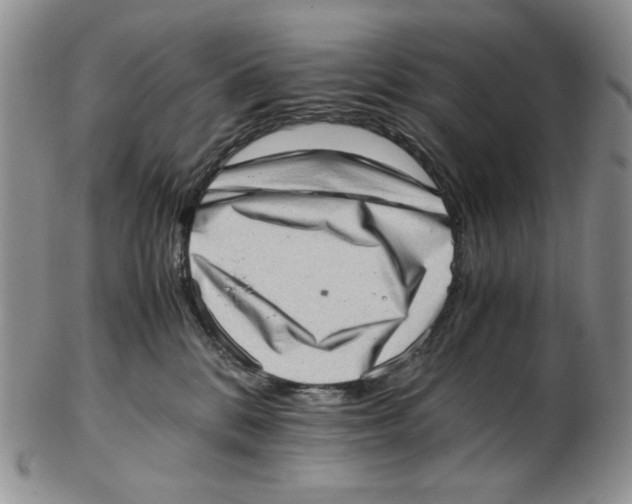 X0000102760328200809151020