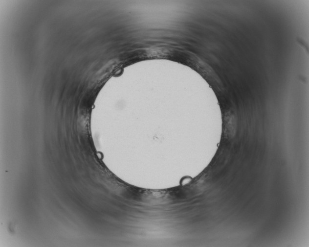 X0000102760329200809151020