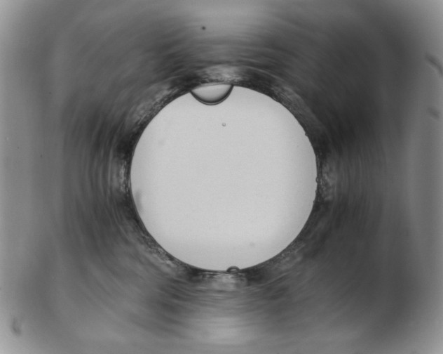 X0000102760330200809151020