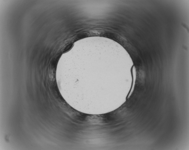 X0000102760331200809151020