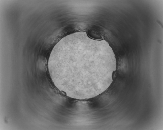 X0000102760332200809151020