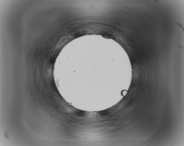 X0000102760333200809151020