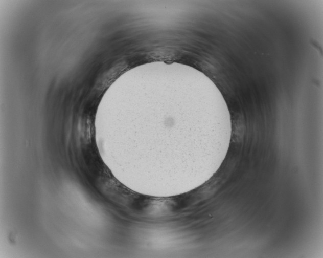 X0000102760334200809151020