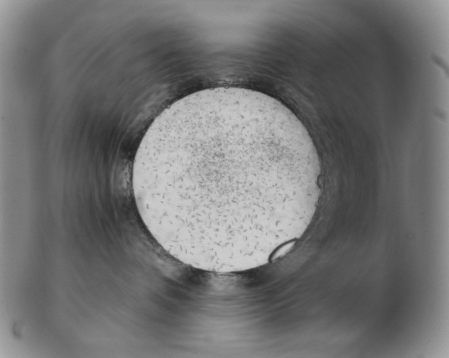 X0000102760336200809151020