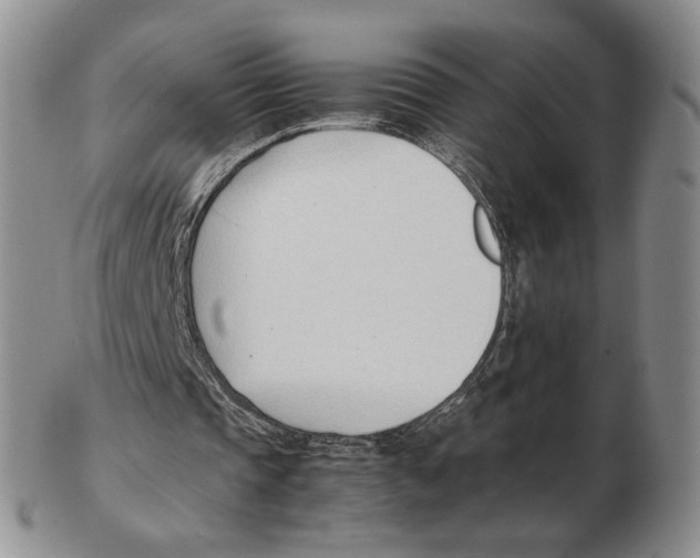 X0000102760337200809151020