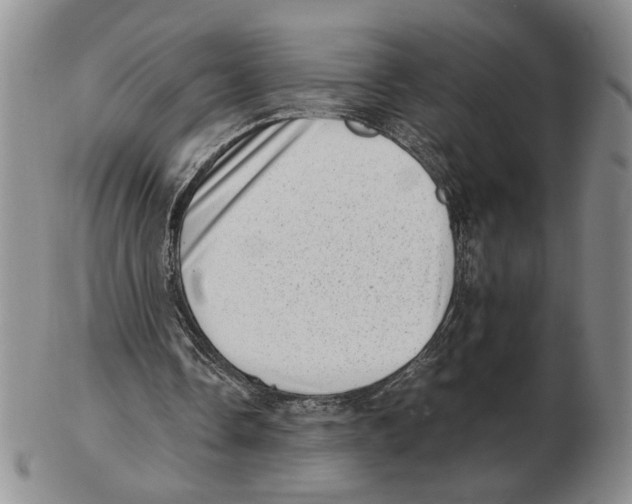 X0000102760338200809151020