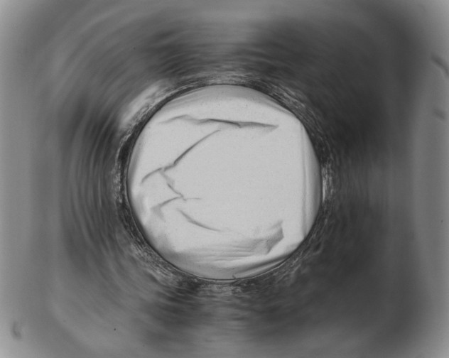 X0000102760339200809151020