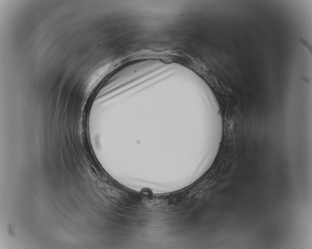 X0000102760340200809151020