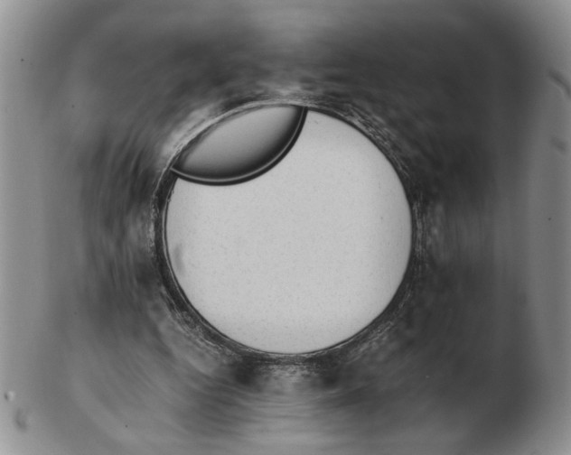 X0000102760344200809151020