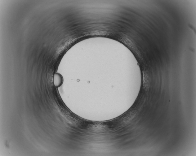 X0000102760348200809151020