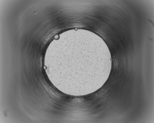 X0000102760350200809151020