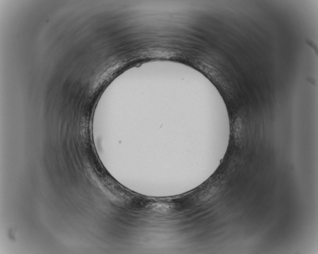 X0000102760352200809151020