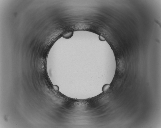 X0000102760356200809151020