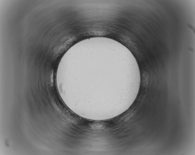 X0000102760358200809151020