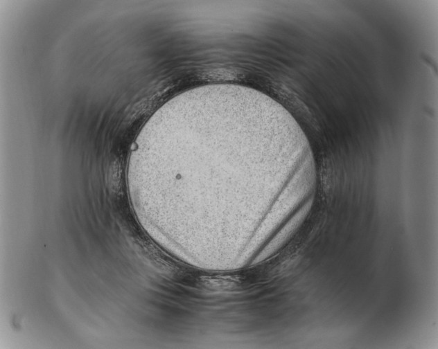 X0000102760359200809151020