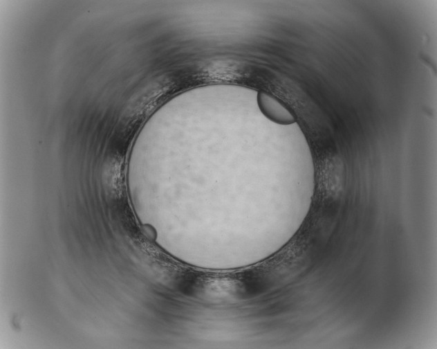 X0000102760360200809151020