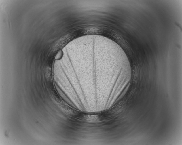 X0000102760361200809151020