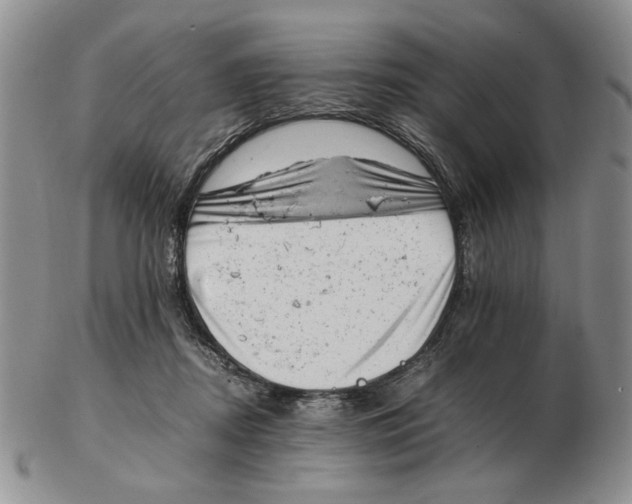 X0000102760362200809151020