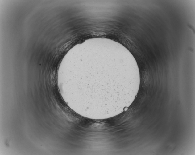 X0000102760364200809151020