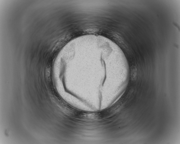 X0000102760365200809151020