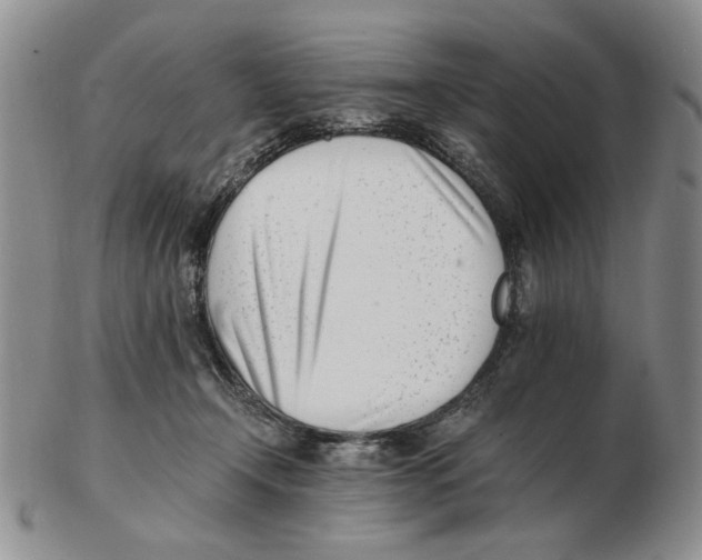 X0000102760366200809151020