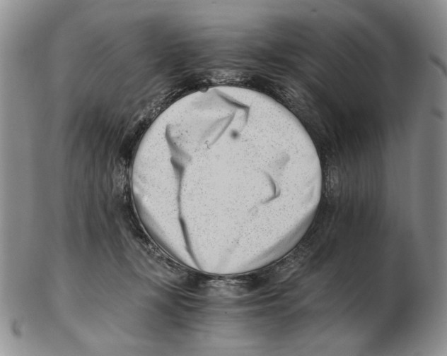 X0000102760367200809151020