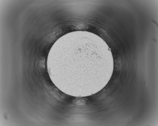 X0000102760368200809151020