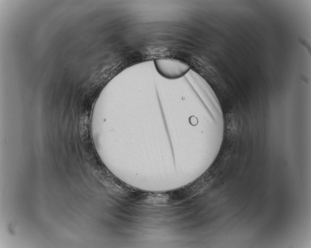 X0000102760369200809151020