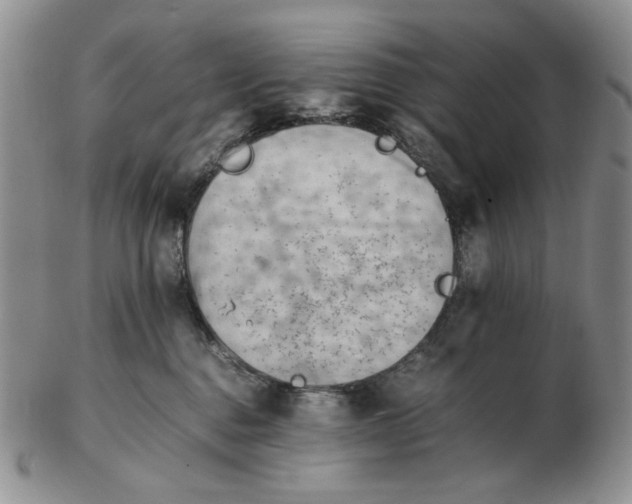 X0000102760376200809151020