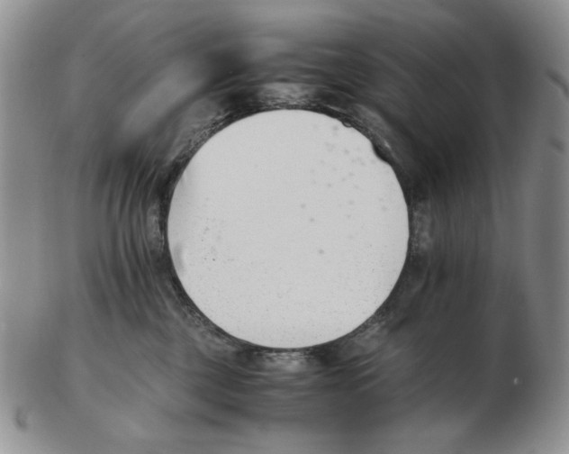 X0000102760377200809151020