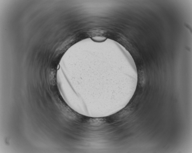 X0000102760378200809151020