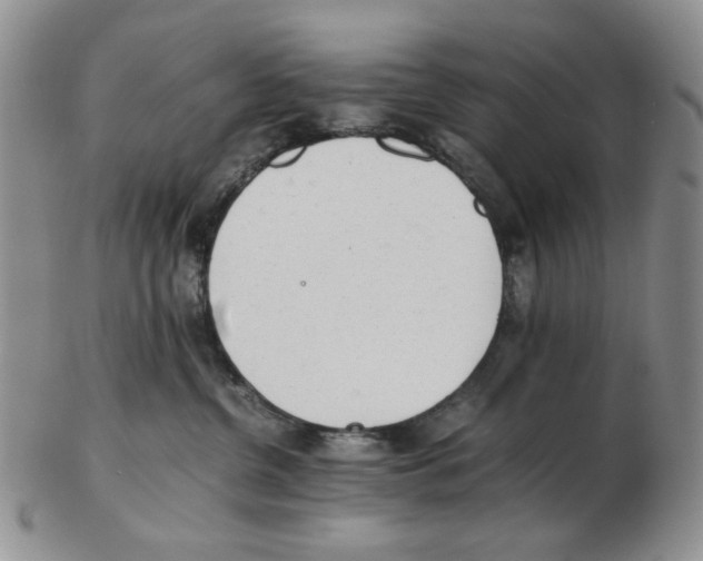 X0000102760380200809151020