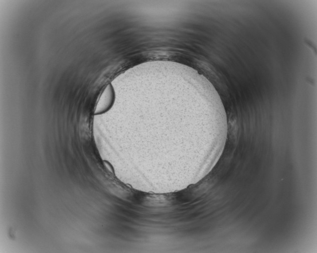 X0000102760381200809151020