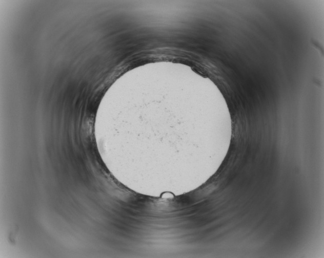 X0000102760382200809151020