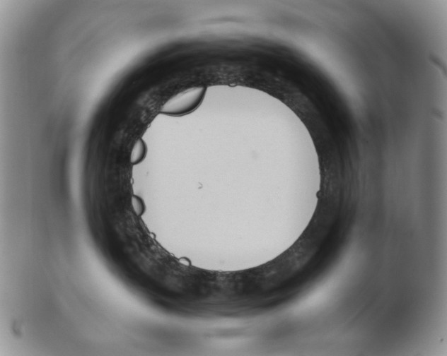 X0000102760383200809151020