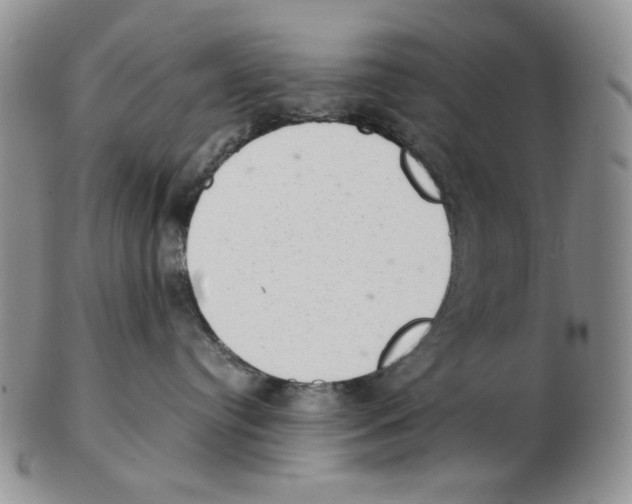 X0000102760384200809151020