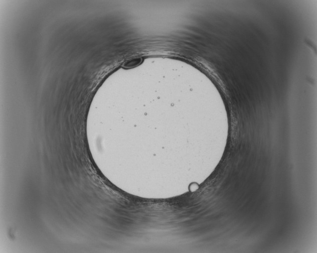 X0000102760385200809151020