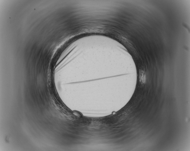 X0000102760388200809151020