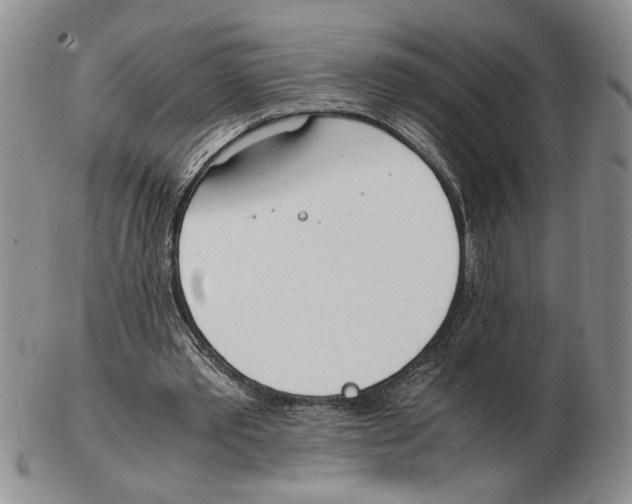 X0000102760389200809151020