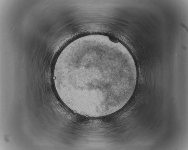 X0000102760391200809151020