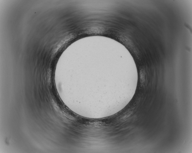 X0000102760396200809151019