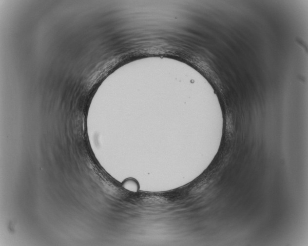 X0000102760397200809151019