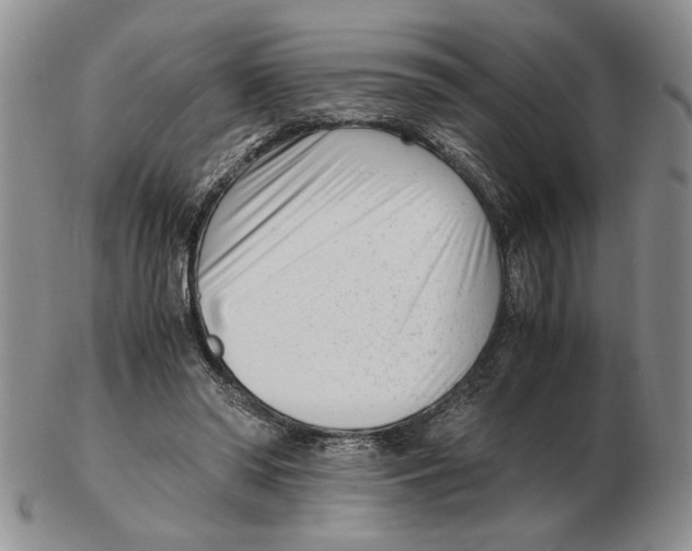 X0000102760398200809151019