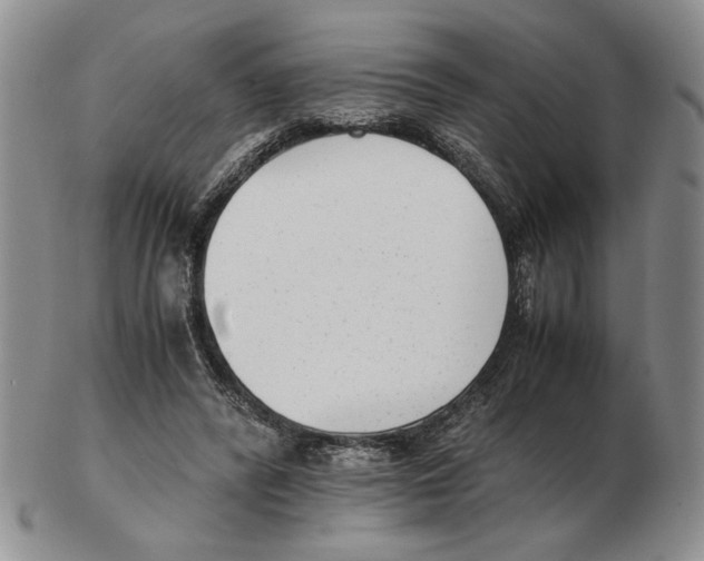 X0000102760400200809151019