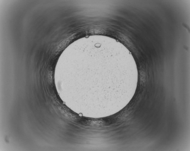 X0000102760401200809151019