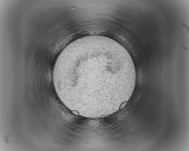 X0000102760405200809151019