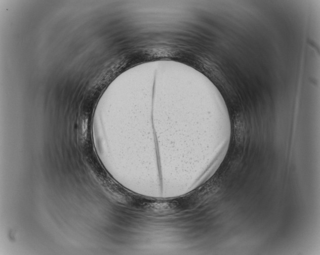 X0000102760406200809151019