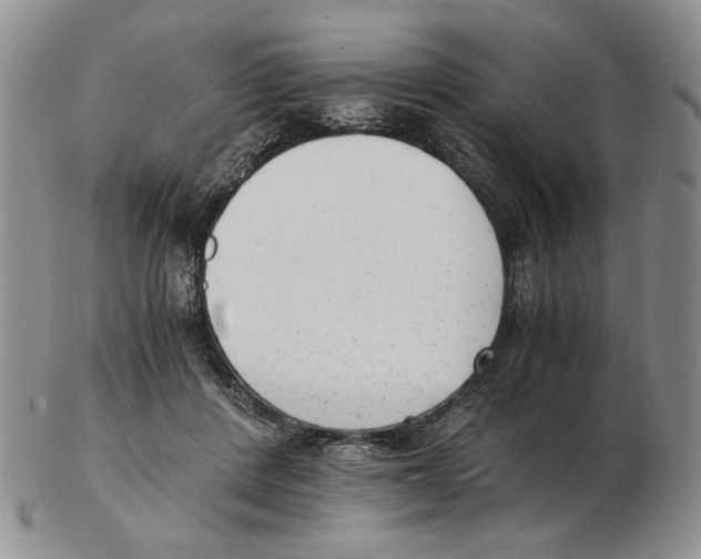 X0000102760408200809151019