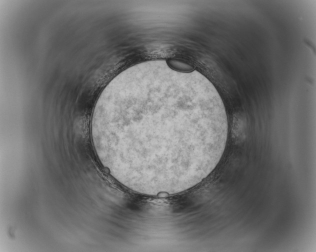 X0000102760409200809151019