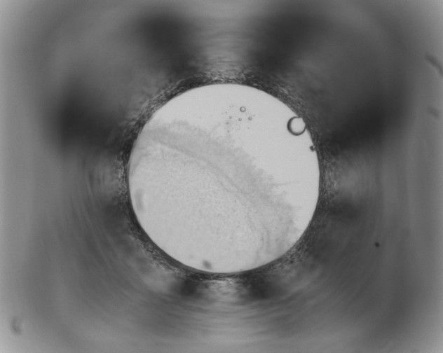 X0000102760411200809151019